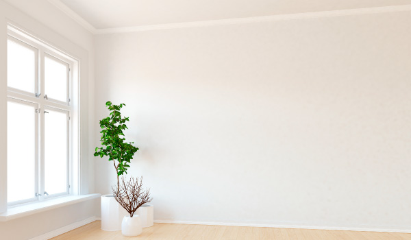 Servicio de pintura para oficina