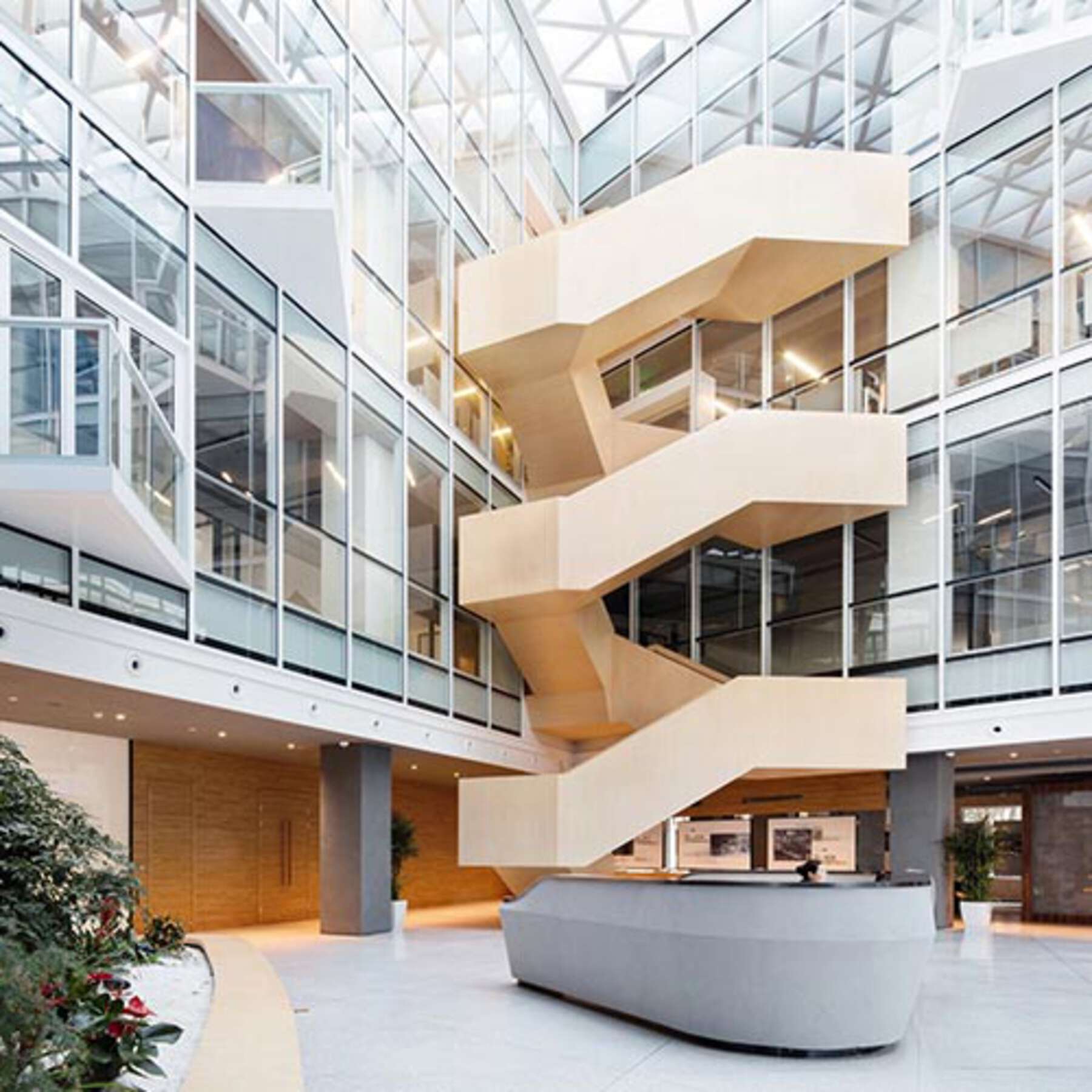 Descripción de la imagen