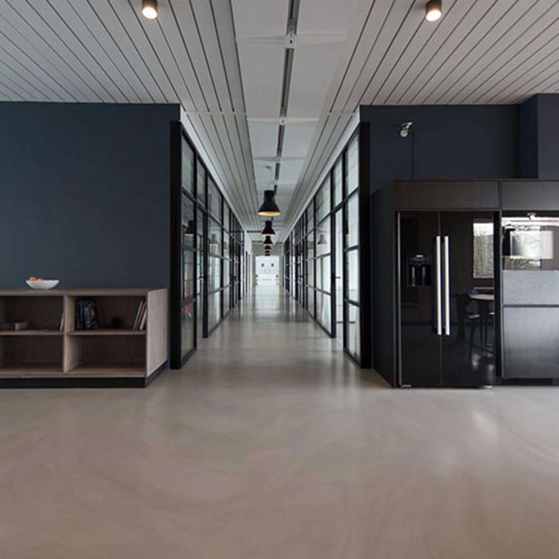 Descripción de la imagen